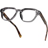 Smoke Gray / Amber Tortoise